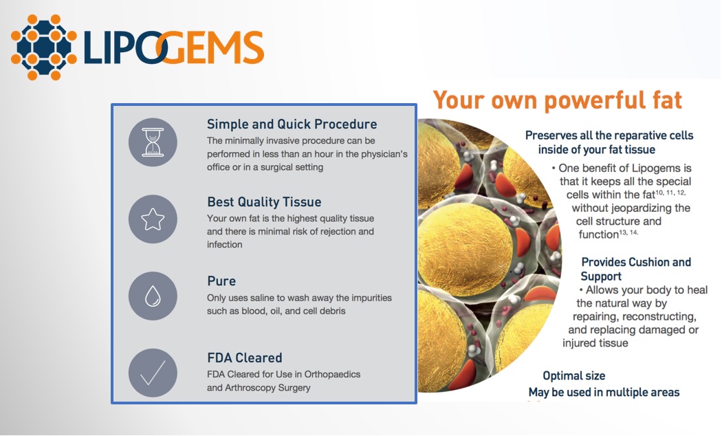 Lipogems_Summary